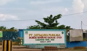 IMG-20250713-WA0005