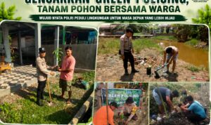 IMG-20260801-WA0035