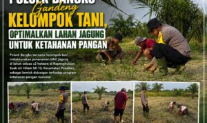 IMG-20260808-WA0005