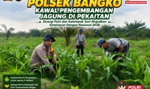 IMG-20260812-WA0005